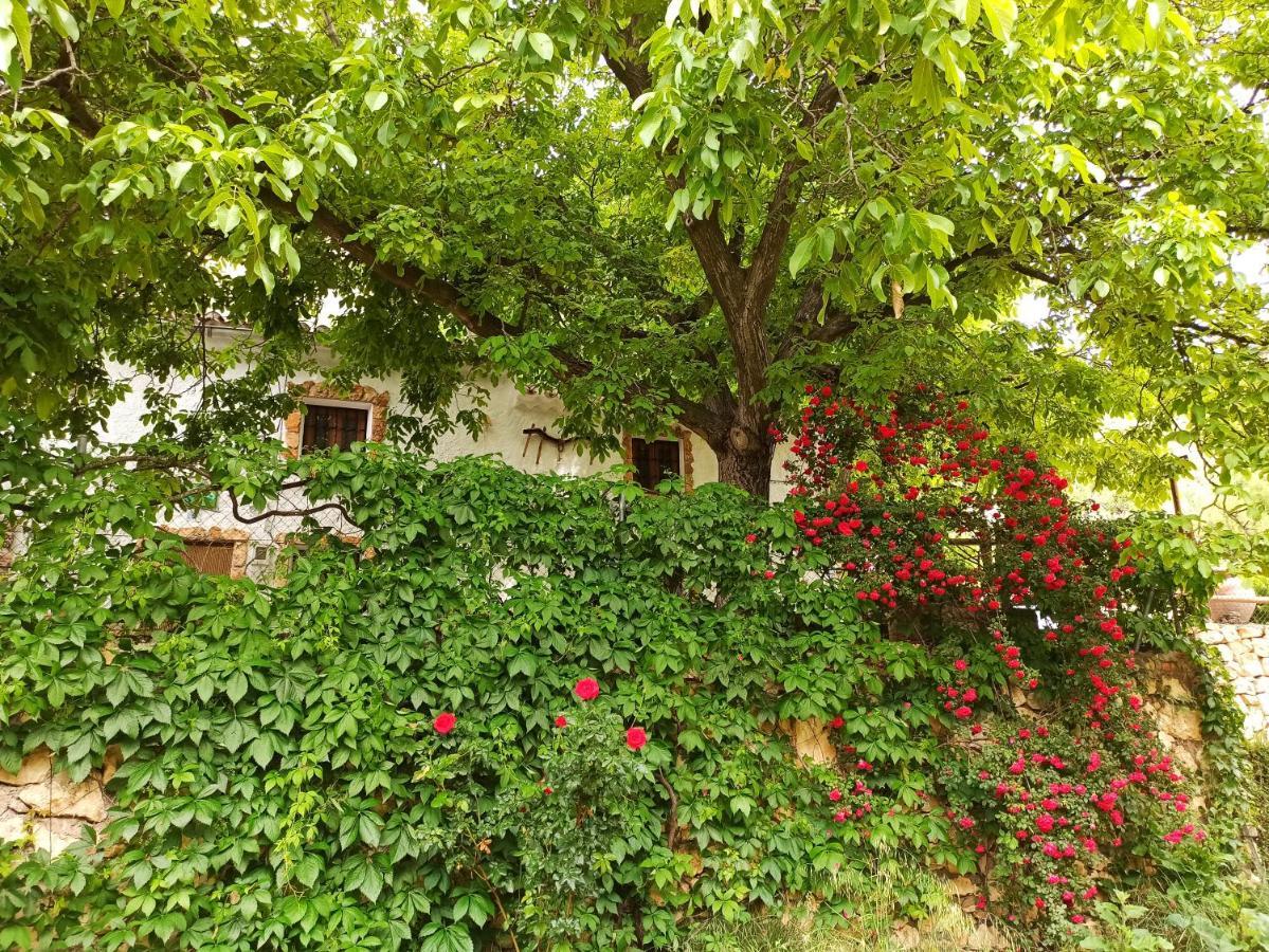 Cortijo Ramon Petra Pensionat Nerpio Exteriör bild